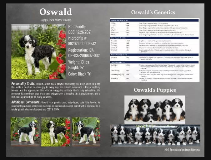 Oswald